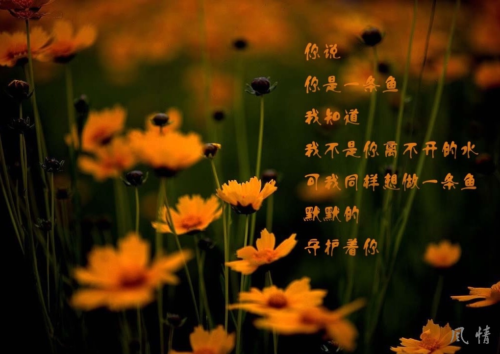 思念母亲_思念的滋味